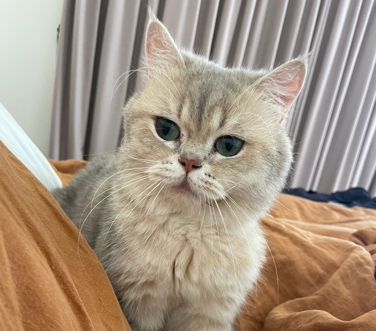 Malcolm - ADOPTIERT Malcolm