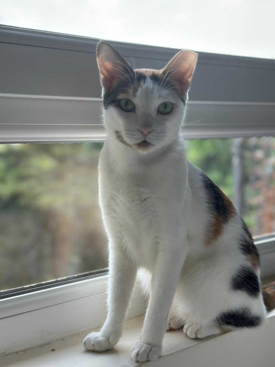 Wanda - ADOPTIERT WhatsApp Image 2023 10 28 at 12.04.21