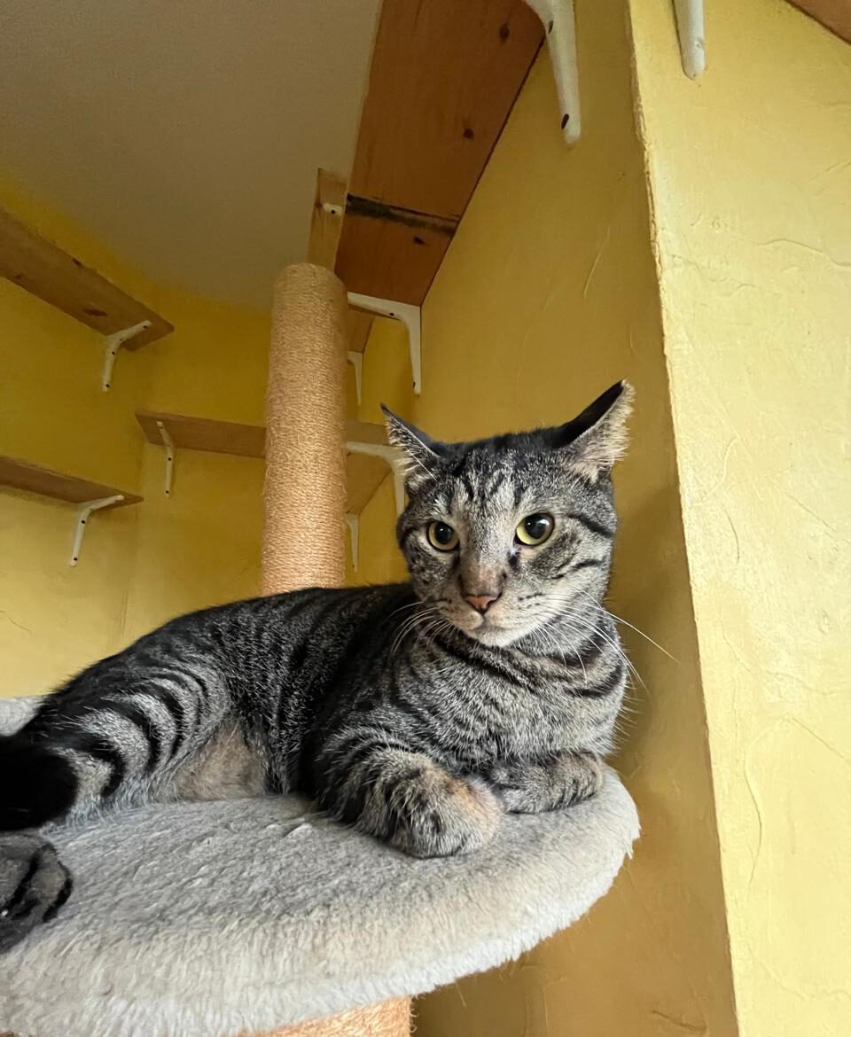 484952889 696048079614951 742280869801553755 n