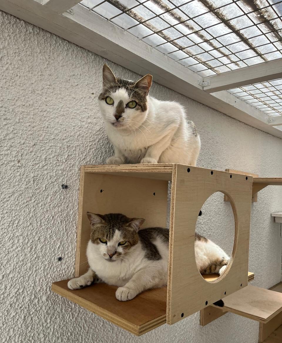 488412872 710260534860372 7813232685954313202 n