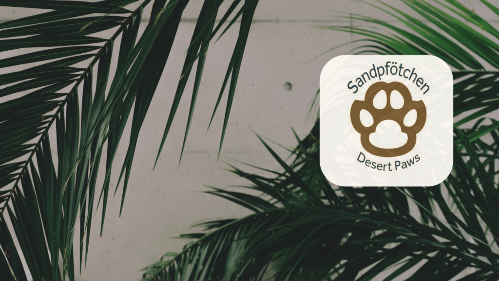 Kontakt Desktop Hintergrund Juli Kalender Plants
