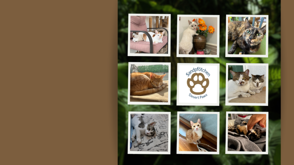 Über uns Green Organic Exploring the Animal Kingdom Presentation