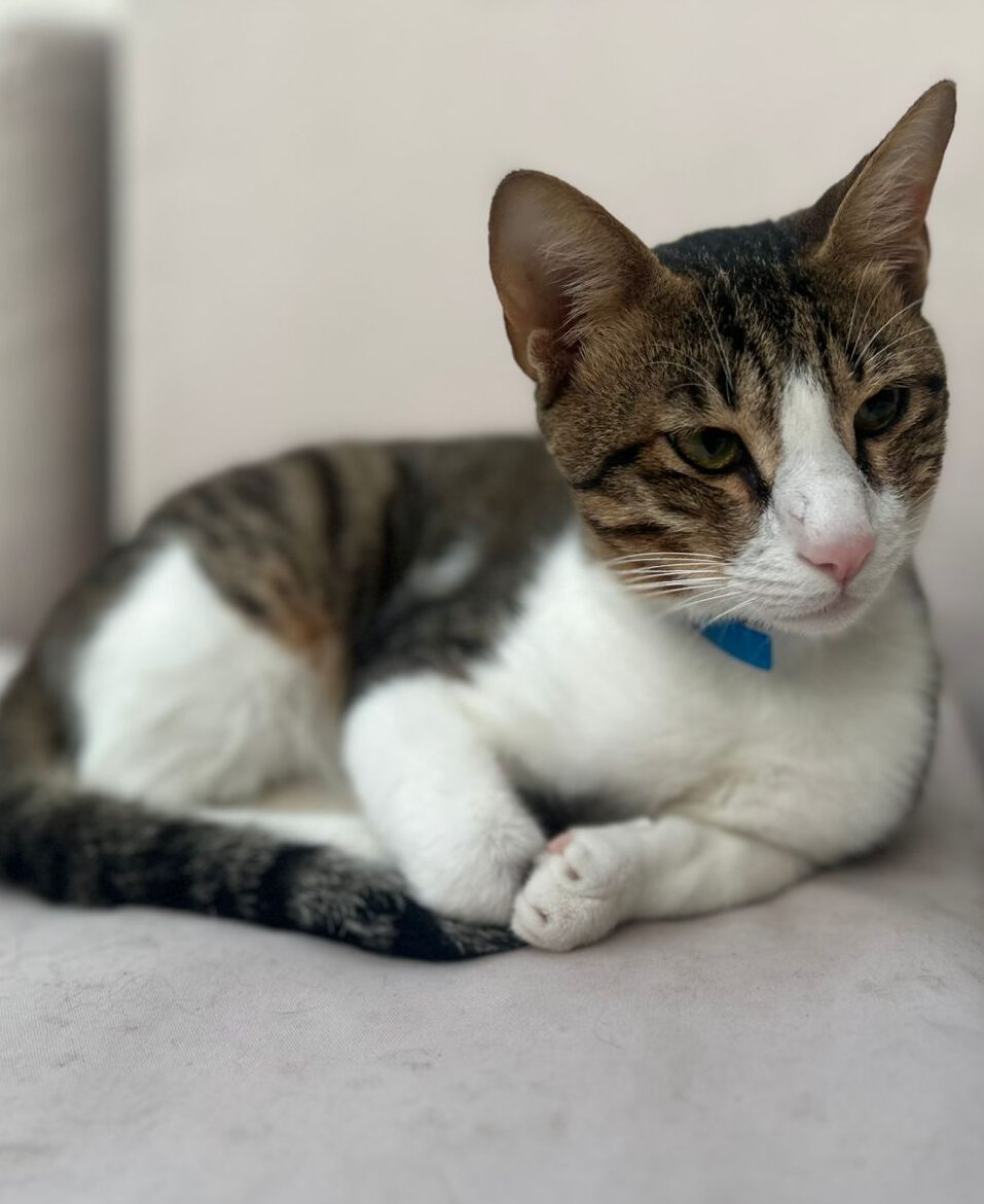 WhatsApp Image 2025 01 06 at 17.44.46