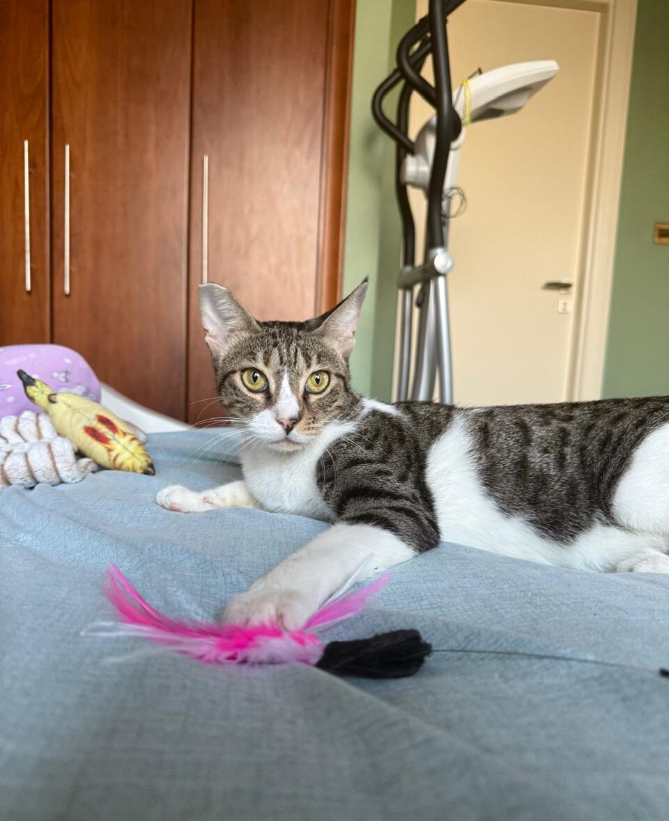 558872230 857649200121504 5775332198333270061 n