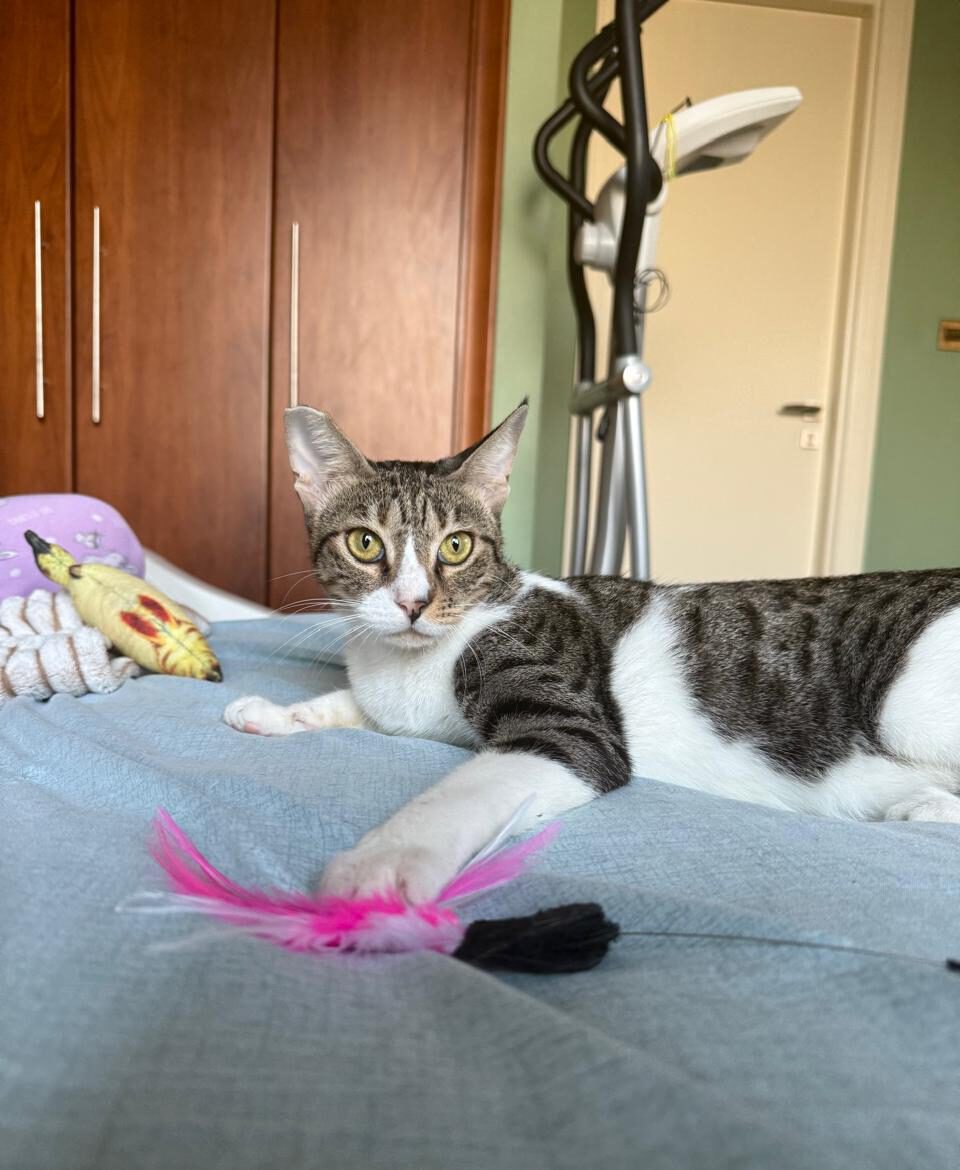 558872230 857649200121504 5775332198333270061 n