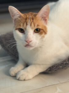 573860592 876510514902039 7999119057693799847 n