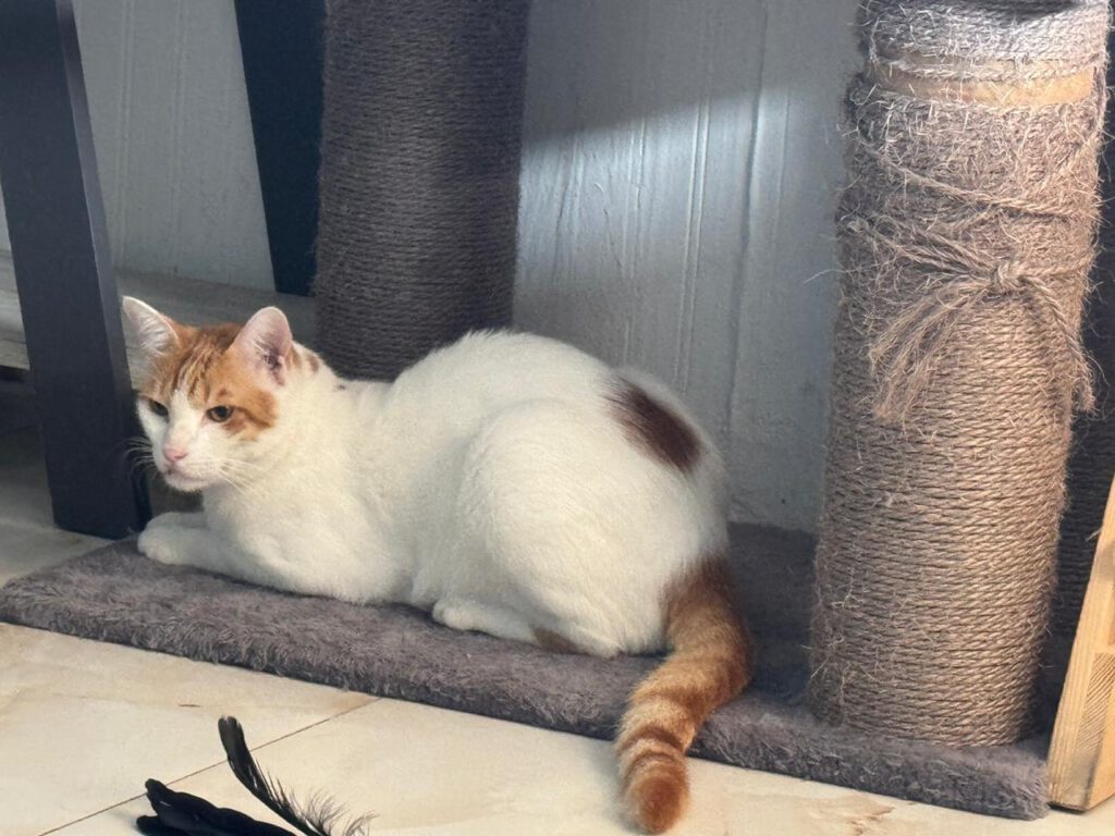 575118121 876510511568706 8677359791393884716 n