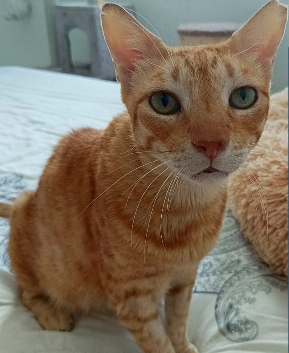 595765793 904748228744934 545632450631698365 n