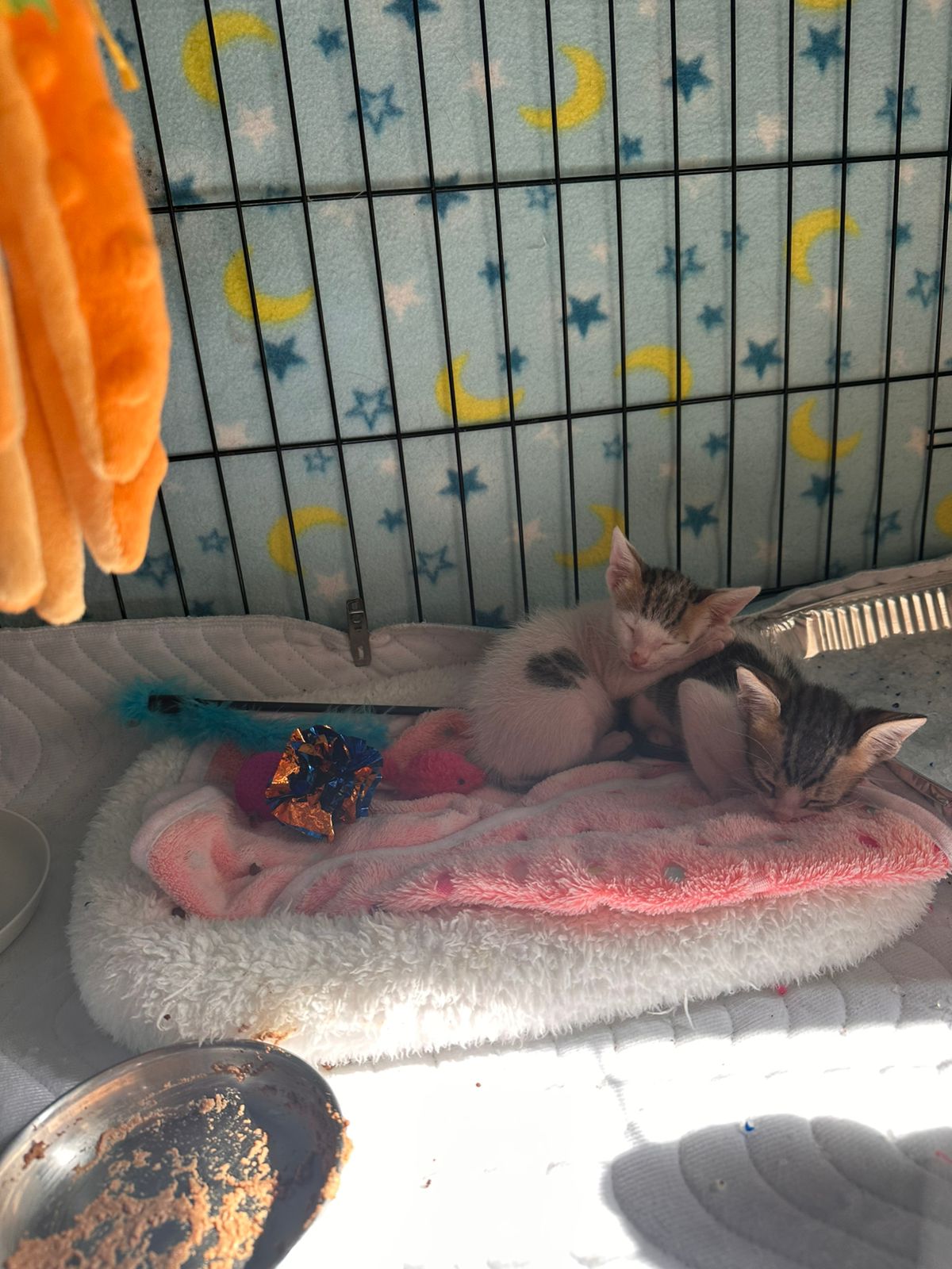 WhatsApp Image 2025 08 28 at 08.57.03