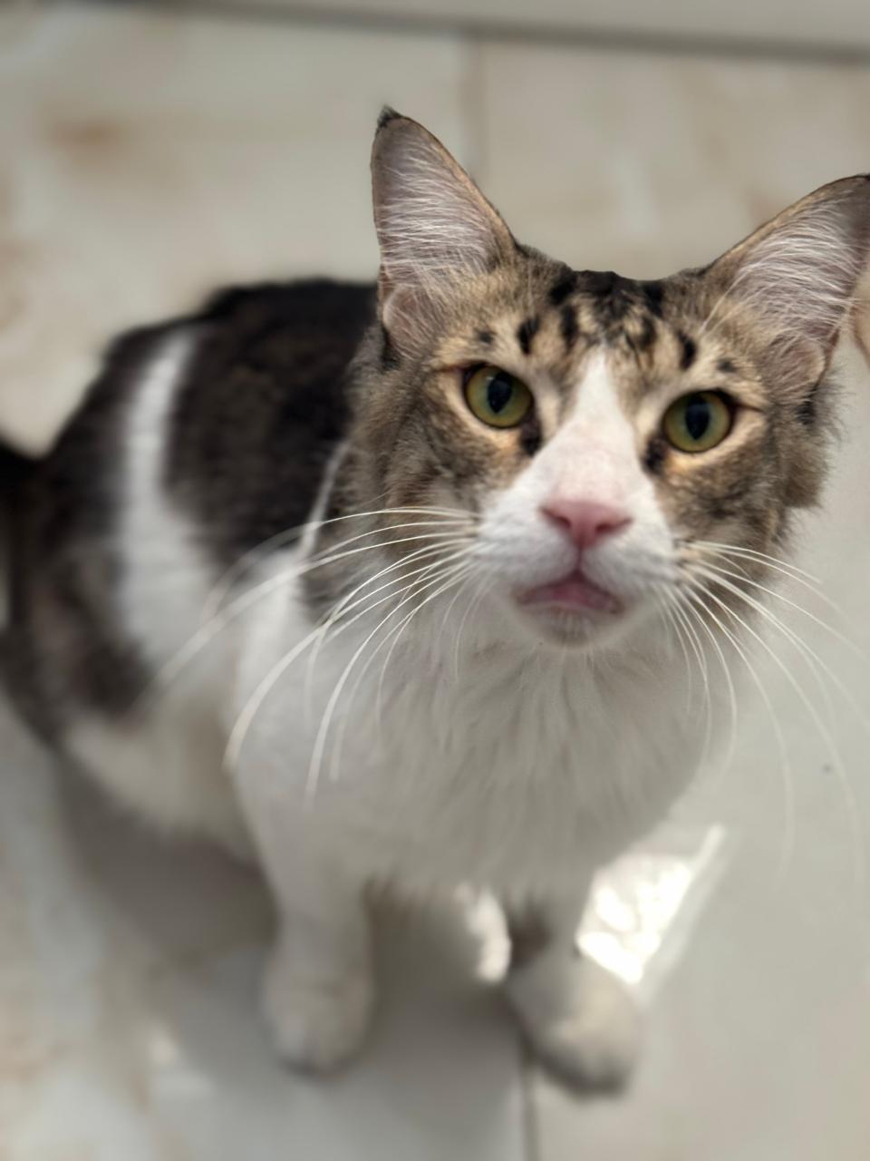 WhatsApp Image 2025 09 17 at 21.45.53 13c5afd6