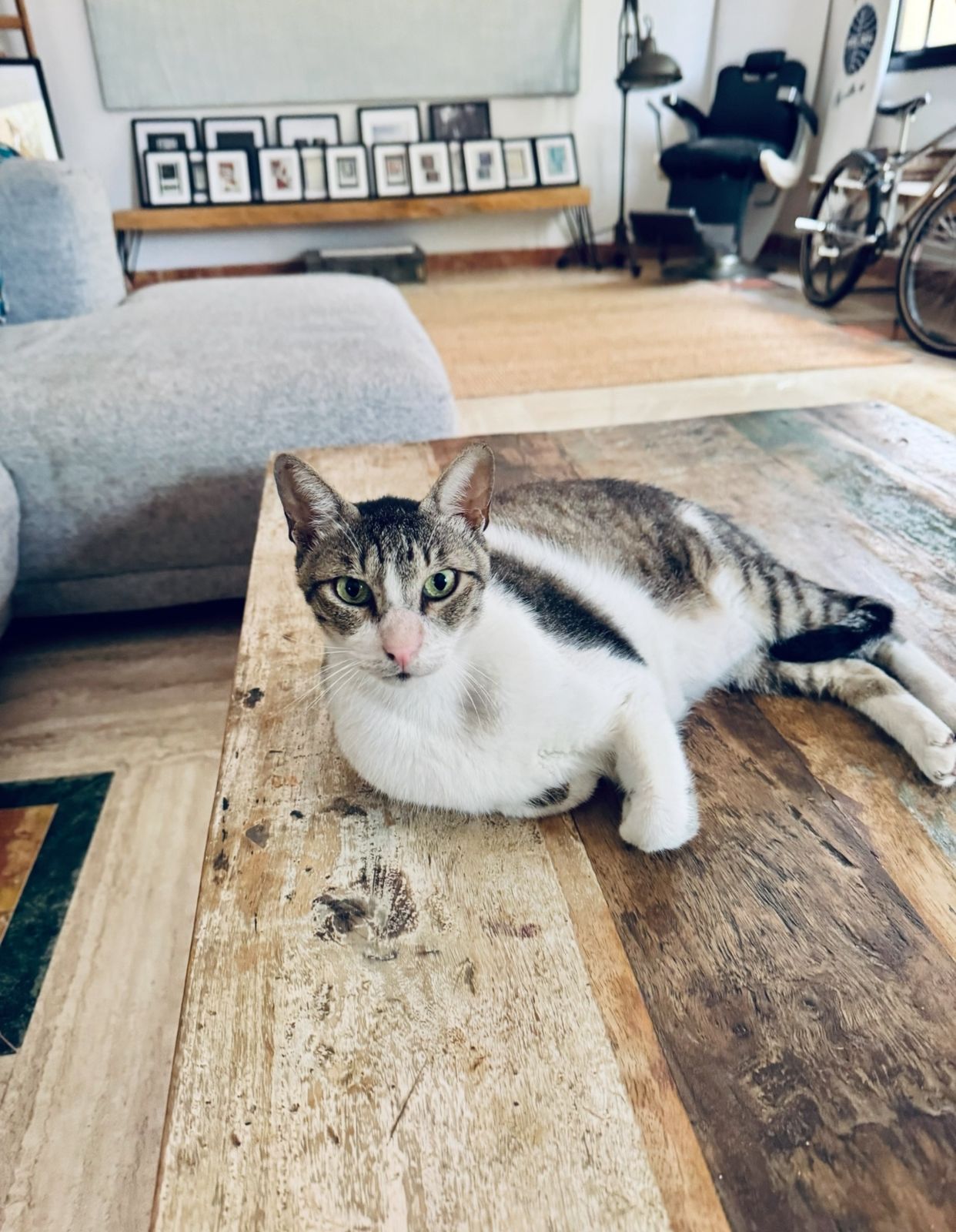 WhatsApp Image 2025 09 17 at 21.46.07 a72cba18