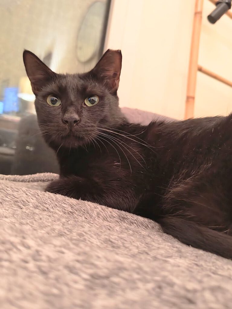 606052568 924629830090107 6008571061850151463 n