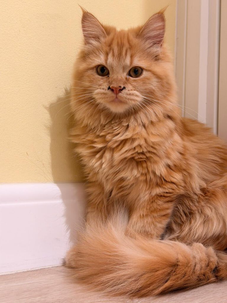 606416464 924636720089418 4337003348845219190 n