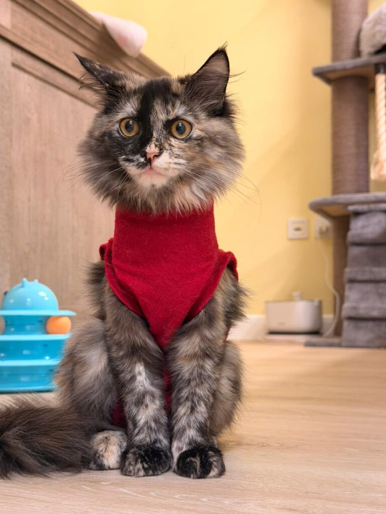 607051120 924640186755738 2407463702785552106 n