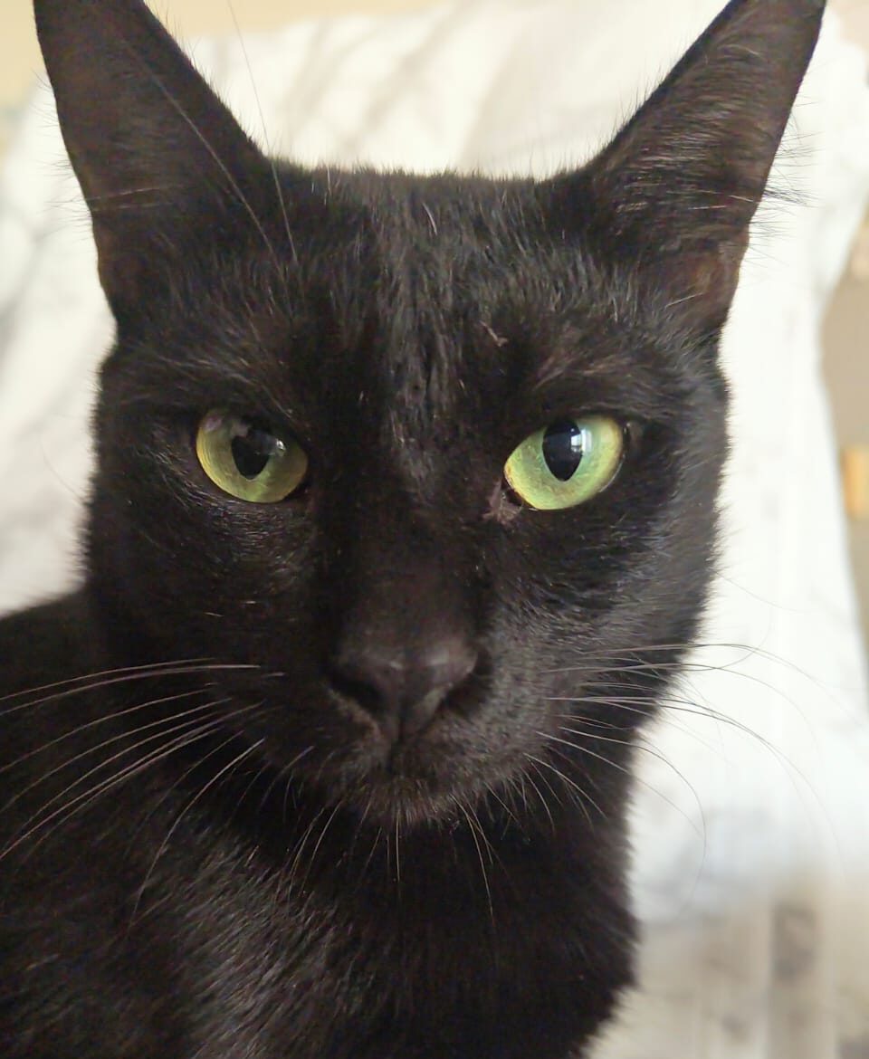 607617588 924630753423348 5131829212246509426 n